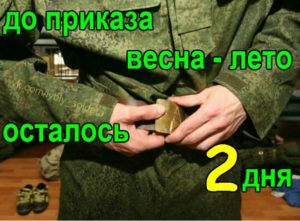 Приказ Об Увольнении В Запас 2020 Весна Лето