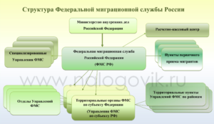 Структура главного управления по вопросам миграции