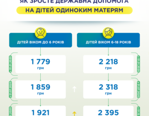 Пособие Матери Одиночке В 2020 Году Новосибирск