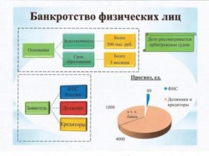 Как Признать Себя Банкротом И Списать Все Долги Физическому Лицу