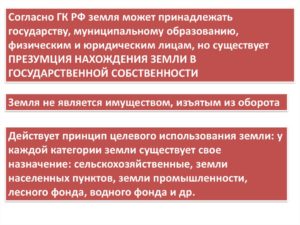 Является ли земля имуществом